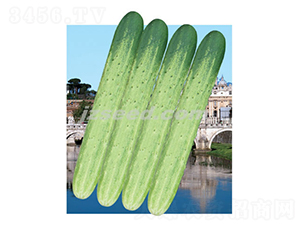 �n���y�S-�S�ϷN��-�F(xi��n)���N�I(y��)