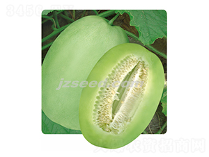 ����̴�-��ϷN��-�F(xi��n)���N�I(y��)