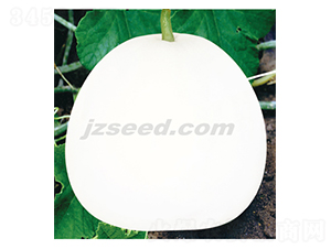 �������-��ϷN��-�F(xi��n)���N�I(y��)