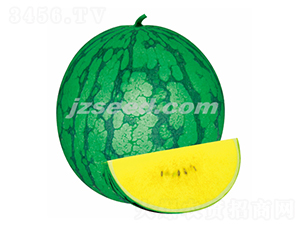 �ă�(y��u)����-���ϷN��-�F(xi��n)���N�I(y��)