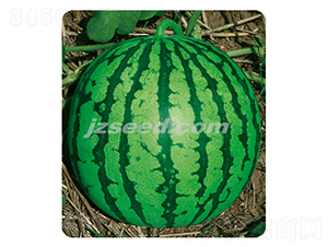 ��������-���ϷN��-�F(xi��n)���N�I(y��)