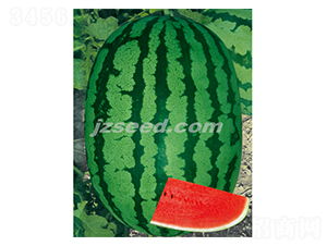 �������-���ϷN��-�F(xi��n)���N�I(y��)