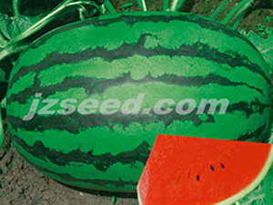 �_(t��i)������-���ϷN��-�F(xi��n)���N�I(y��)