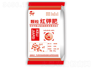 �w���t⛷�-���-��ػ���