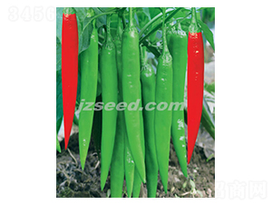 ����һ̖-�����N��-�F(xi��n)���N�I(y��)