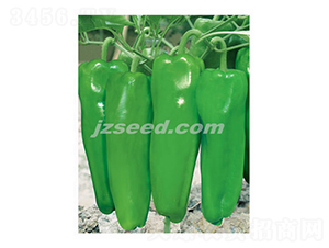 �����-�����N��-�F(xi��n)���N�I(y��)