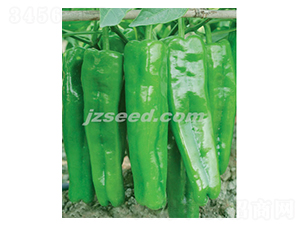 ������̖-�����N��-�F(xi��n)���N�I(y��)