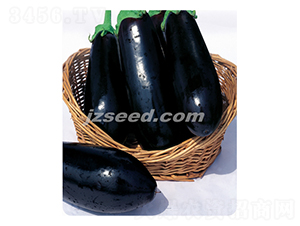 �f������-���ӷN��-�F(xi��n)���N�I(y��)