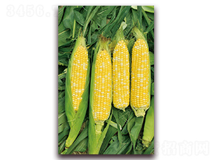 �A����Ŵ192-Ŵ���׷N��-�A���N�I(y��)