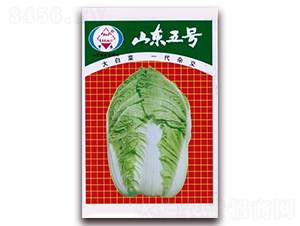 ɽ�|��̖(h��o)-��ײ˷N��-�A���N�I(y��)