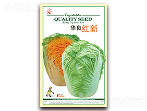 �A���t��-��ײ˷N��-�A���N�I(y��)