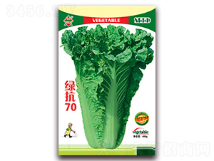 �G��70-��ײ˷N��-�A���N�I(y��)