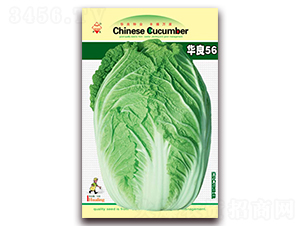 �A��56-��ײ˷N��-�A���N�I(y��)