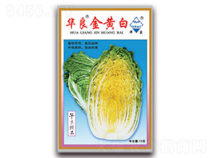 �A�Ľ��S��-��ײ˷N��-�A���N�I(y��)