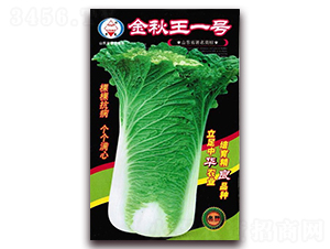 ������һ̖(h��o)-��ײ˷N��-�A���N�I(y��)