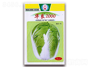 �A��2000-��ײ˷N��-�A���N�I(y��)