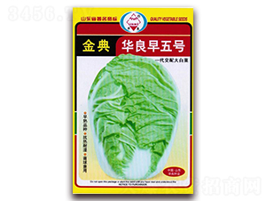 ����A������̖(h��o)-��ײ˷N��-�A���N�I(y��)