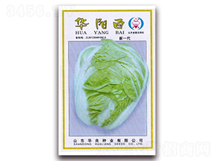 �A�(y��ng)��-��ײ˷N��-�A���N�I(y��)