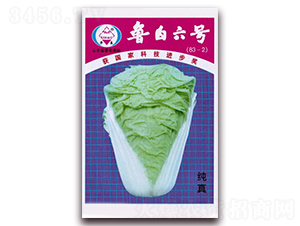 ������̖(h��o)-��ײ˷N��-�A���N�I(y��)