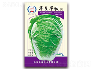 �A������-��ײ˷N��-�A���N�I(y��)