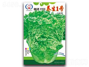 �B(y��ng)��1̖-��ײ˷N��-�A���N�I(y��)