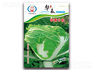 �A��С��-��ײ˷N��-�A���N�I(y��)