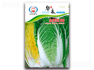 ���F��66-��ײ˷N��-�A���N�I(y��)