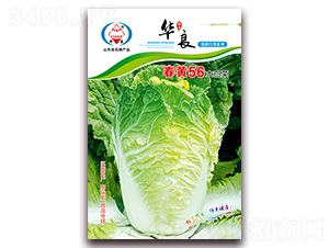 ���S56-��ײ˷N��-�A���N�I(y��)