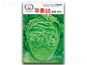 �A��60-��ײ˷N��-�A���N�I(y��)