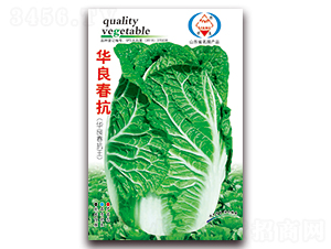 �A������-��ײ˷N��-�A���N�I(y��)