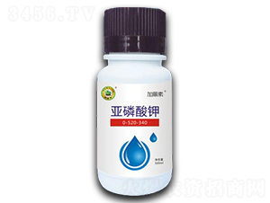 �������0-520-340-������-�W����