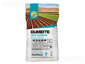 ���������-�W����