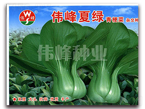 �����ľG�๣��-�๣�˷N��-����N�I(y��)