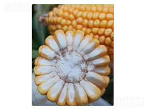 �A��812-���׷N��-�A���N�I(y��)