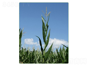 ����97̖(h��o)-���׷N��-�A���N�I(y��)