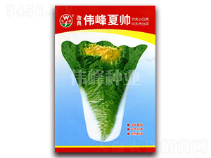 ���������Ď�-�ײ˷N��-����N�I(y��)