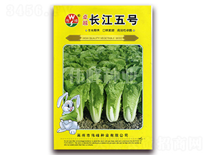 ׿Խ�L����̖-�ײ˷N��-����N�I(y��)