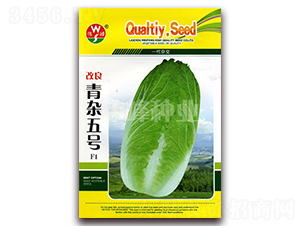 �������s��̖F1-�ײ˷N��-����N�I(y��)