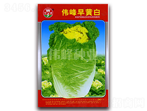 �������S��-�ײ˷N��-����N�I(y��)