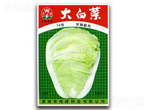 ��ײ�19̖-�ײ˷N��-����N�I(y��)