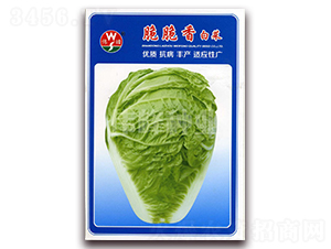 �����ײ�-�ײ˷N��-����N�I(y��)