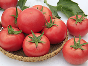 DLR-����911-���ѷN��-������