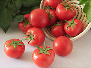 DLR-����707-���ѷN��-������