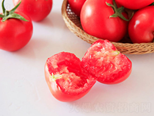 DLR-����787-���ѷN��-������