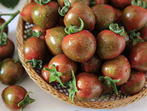 ����-���ѷN��-������