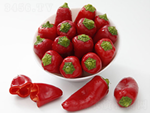 DLR-����-�����N��-������