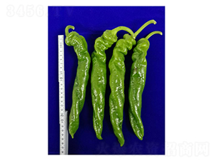 DLR-����179-�����N��-������