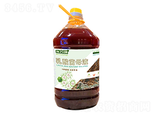 �����ĸҺ-������-�����_����