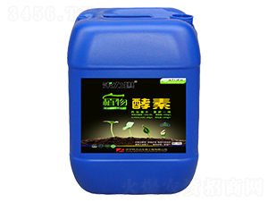 ֲ����؛_ʩ��-������-�����_(d��)����