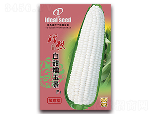 ����Ŵ��-Ŵ���׷N��-�����r(n��ng)�I(y��)